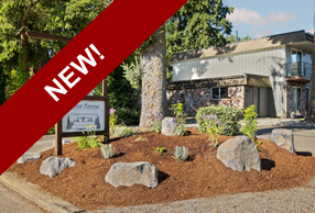 Forest Retreat Apartments